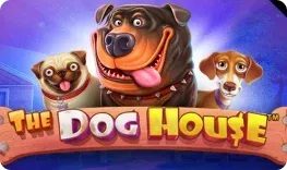 Spinimax – The Dog House