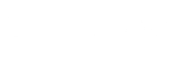 Spinimax